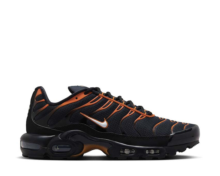 Nike Air Max Plus Black FN6949-400