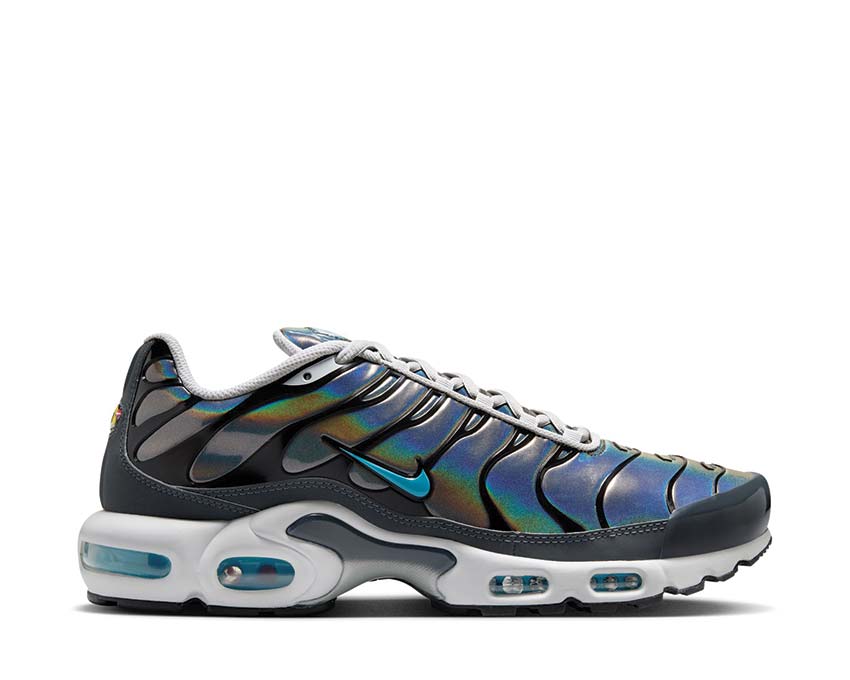 Nike Air Max Plus  HV2525-001