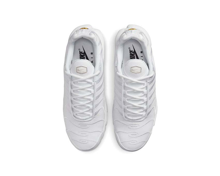 Nike Air Max Plus White / White - White AJ2029-100