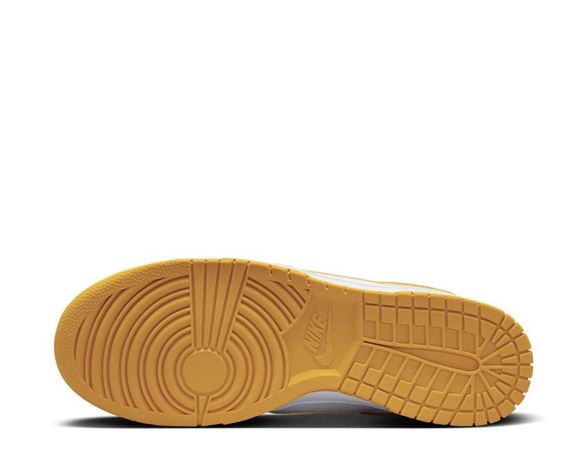 Nike Dunk Low Retro burnt orange color nike shoes for women 2018 DV0831-110
