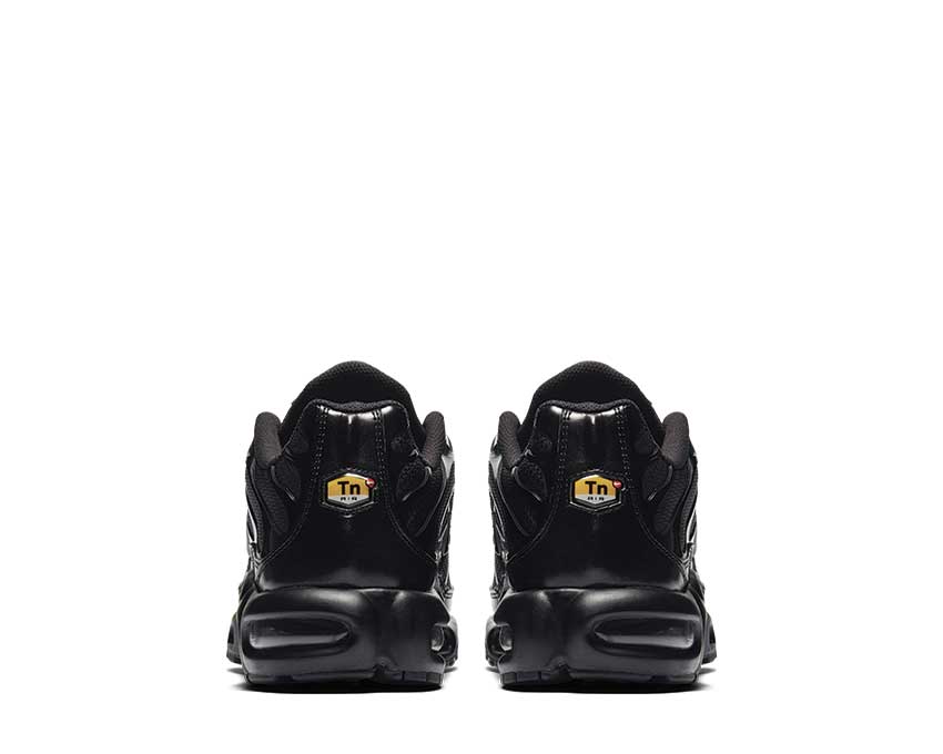 Nike Air Max Plus Black Black 604133-050